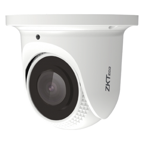 ZKTeco P Network Camera Eyeball